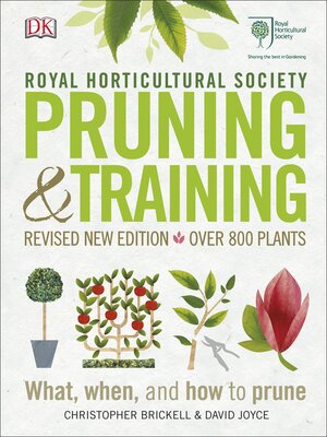 cover image of RHS Pruning & Training